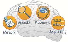 Learning Capacity