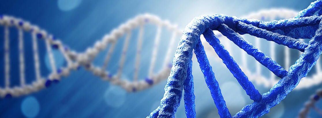 genome sequence