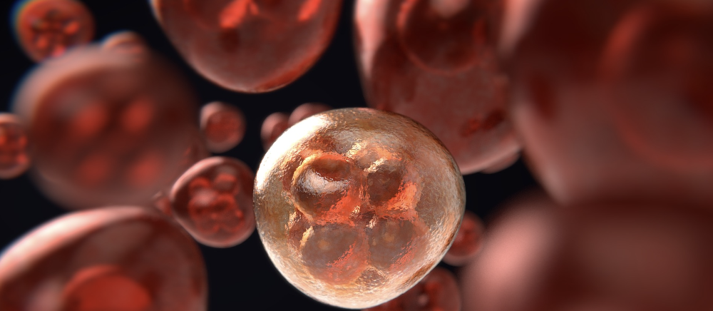 How AI Found the Words to Kill Cancer Cells