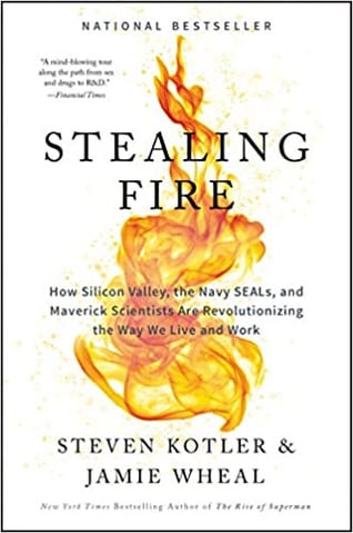 Stealing Fire bookcover