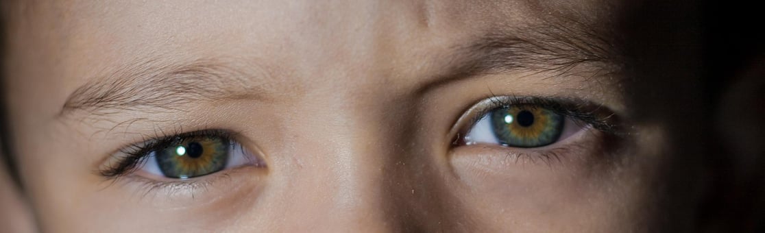 https://neurosciencenews.com/vision-cognition-aging-20553/ 
