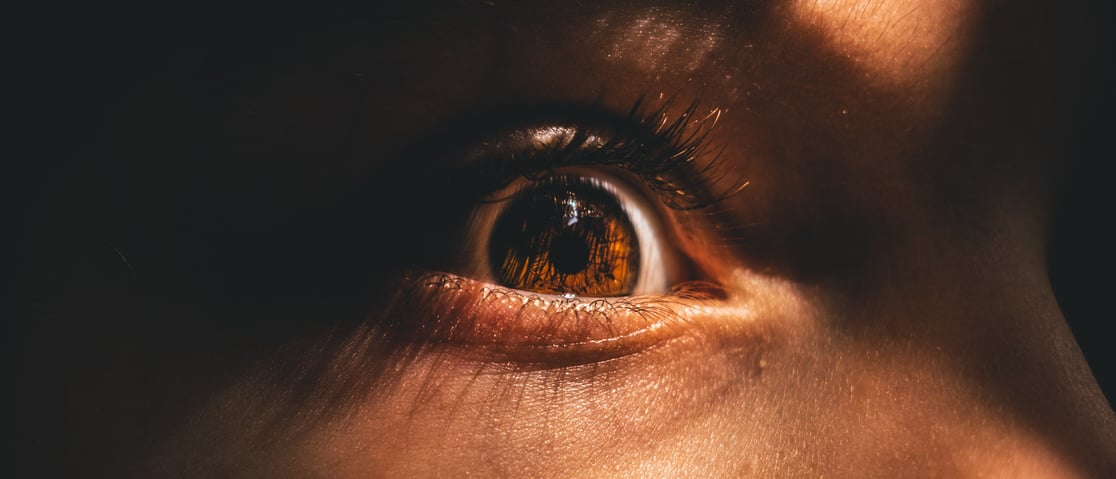 Where do Memories of Fear Lurk in Your Brain?