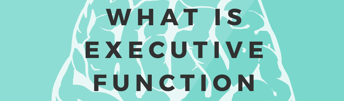executive function